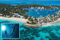 US tourist, 63, attacked by shark, severely injured while spearfishing in the Bahamas