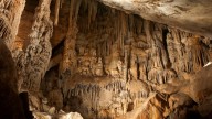 El ejército entró en una cueva de Córdoba durante la Guerra Civil y descubrieron un esqueleto que cambió la historia de Europa