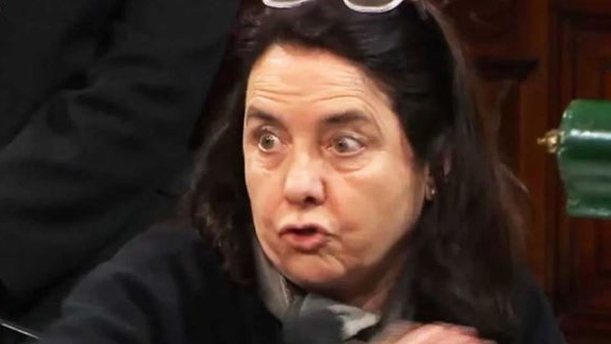 "No creo que niños argentinos tengan derecho a ser curados en el Garrahan"
