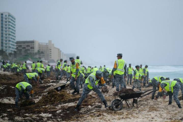 Mexico, Dominican Republic propose joint efforts to fight sargassum seaweed