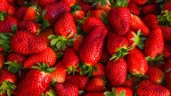Pick The Ripest Strawberries At The Store With A Simple Smell Test