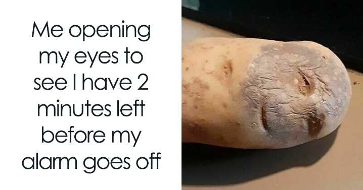 100 Hilariously Relatable Memes That Might Make You Feel Very Called Out
