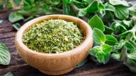 El truco viverista para reproducir tu planta de Orégano y que tengas la más abundante cosecha en tu jardín