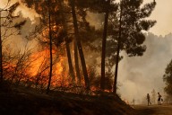 Our world in photos: August 14