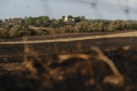 Los incendios de agosto en España dejan más de 115.000 hectáreas quemadas, tres muertos y miles de desalojados