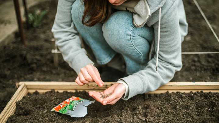 Are Seeding Squares Actually Worth Buying?