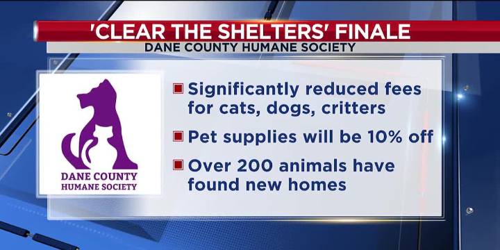 Help Dane Co. Humane Society ‘Clear the Shelter’ at adoption finale