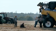 Martin Zandvliet & New8's 'Harvest' Set For Int'l Launch With DR Sales