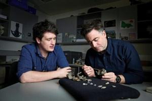 Scientists unearth ‘cute’ but fearsome ancient whale