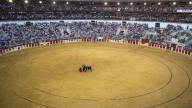 Así queda el cartel de la baja de Morante, (a la espera) pero que ha dado en el clavo de interés, hoy en Málaga