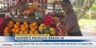 Group caught on surveillance stealing from Columbus produce store