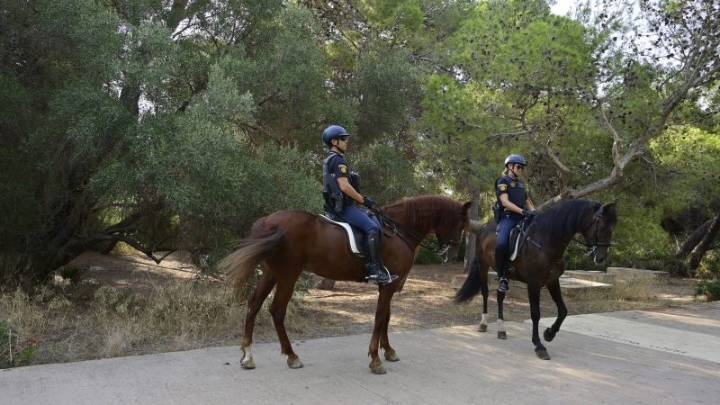 Valencia intensifica la vigilancia del bosque de El Saler en los días finales de verano para prevenir posibles incendios