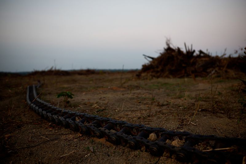 Brazil judge grants injunction against soy moratorium suspension