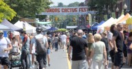 Here are 11 things to do around Hamilton this weekend