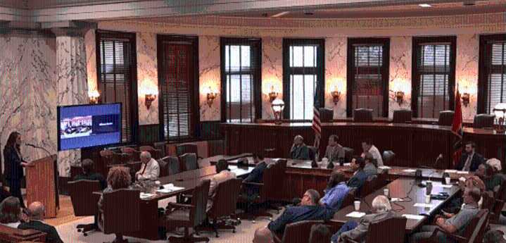 Lawmakers hear from veterans, medical professionals as they consider the efficacy of Ibogaine