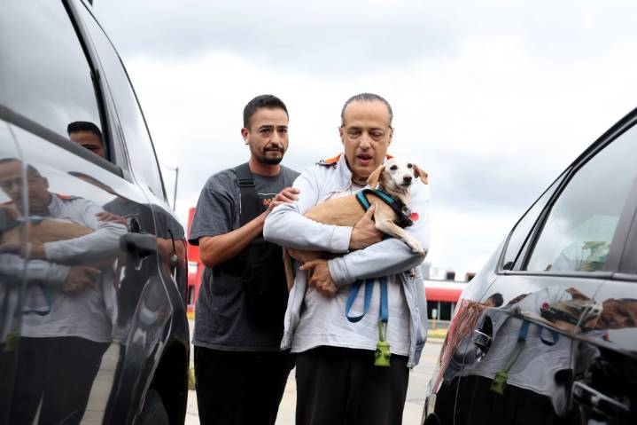 Chicago man reunites with stolen support dog Bam Bam