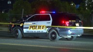 Pedestrian identified after being hit and killed by vehicle on South Side, ME’s office says