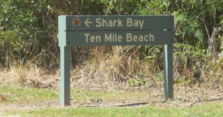 Coffs Harbour: Body of woman, 32, found washed up on beach on NSW North Coast