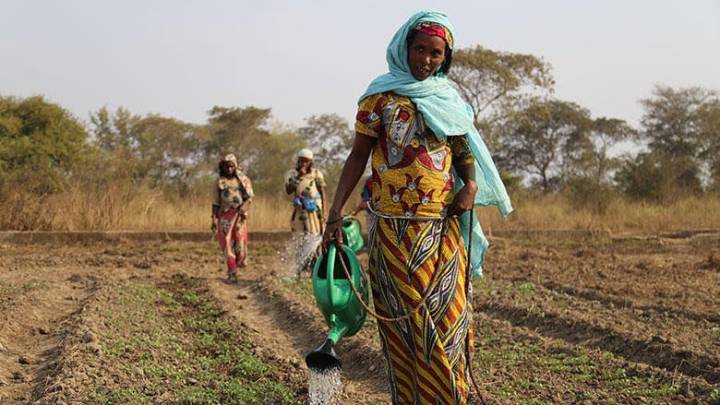Electrificación feminista: la energía que necesita África