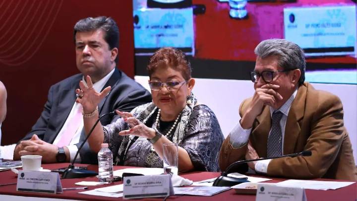 Ley aduanera y paquete económico requerirá de mucho cabildeo, advierte Ernestina Godoy