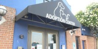 RACC waiving adoption fees starting this weekend to ‘fill your empty nest’