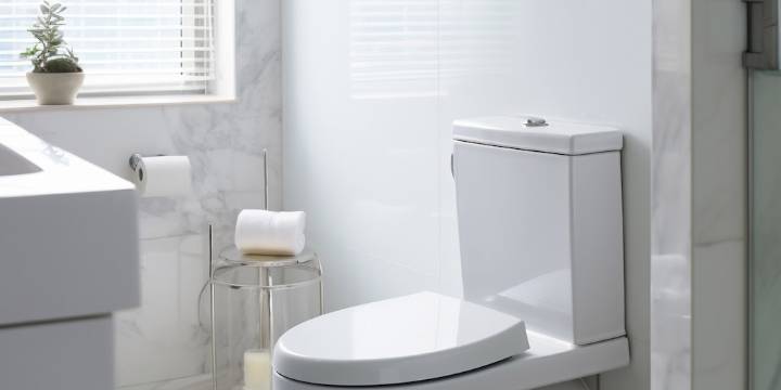 Truco casero: cómo usar detergente para desatorar el inodoro