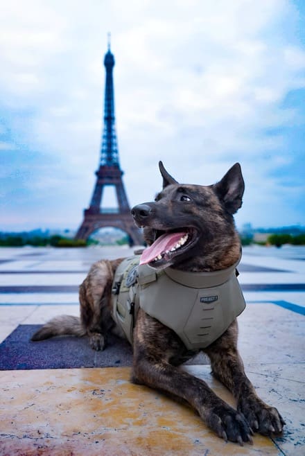 AARDVARK Tactical and Dark Systems Strengthen Partnership to Advance Tactical K9 Protection in the US