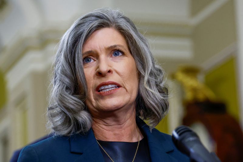 U.S. Republican Senator Joni Ernst won't run for re