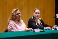 Gremio artístico merece representación legislativa