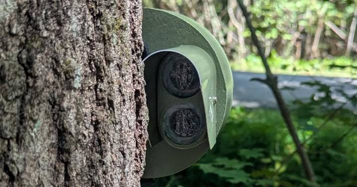 Enterprise South Nature Park installing digital trail counters