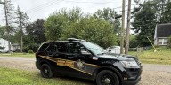 Ingham County Animal Control removes 11 dogs from Lansing home