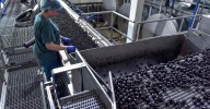 Córdoba es la provincia de Andalucía donde más cae el desempleo en la industria en el primer semestre del 2025