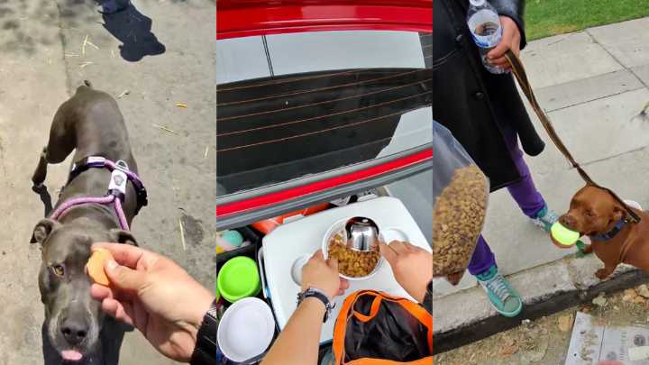 Boyle Heights man helps homeless animals, one bowl of kibble at a time