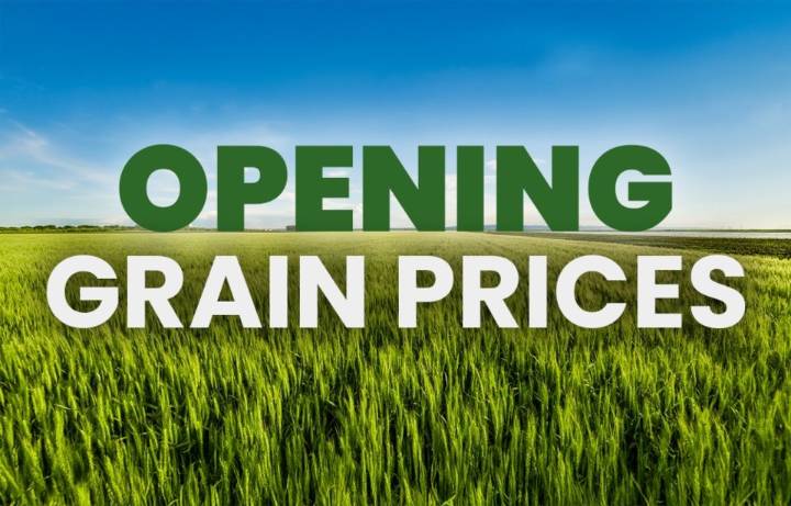 Opening grain prices Friday, August 29