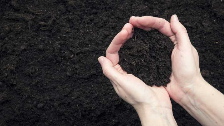 What's Really In Topsoil And Why It Matters
