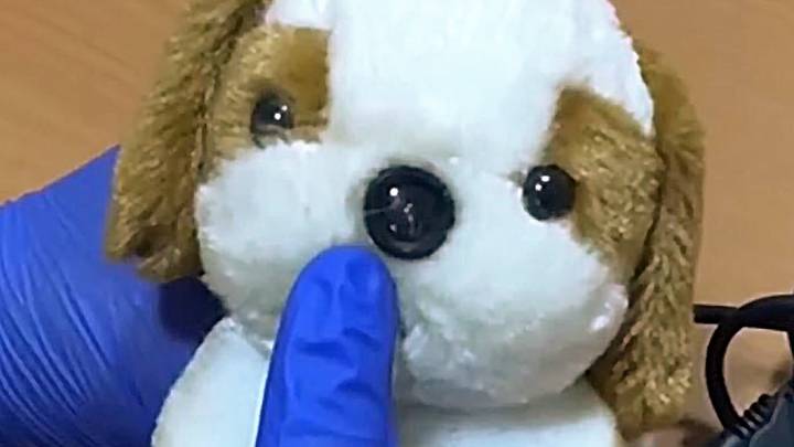 A prisión por un ‘osito’ que grabó la vejación a sus alumnos Down