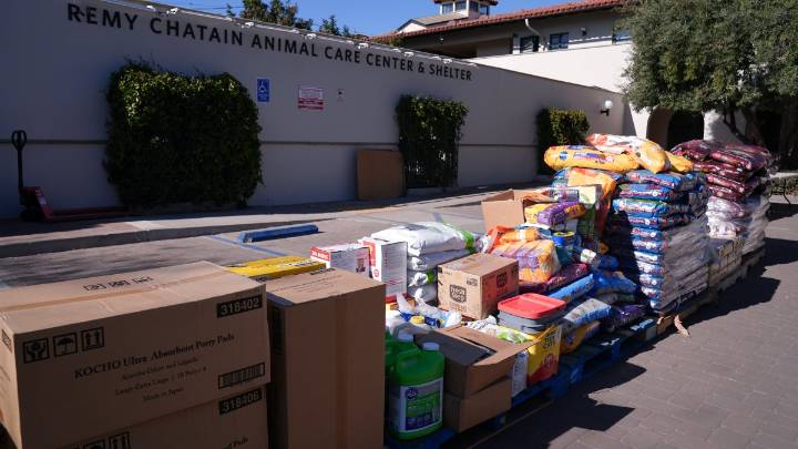 Pasadena Humane still caring for displaced pets after LA fires