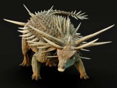 Punk ankylosaurus discovered