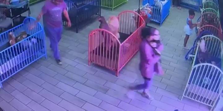 Woman caught on camera stealing $2,500 puppy from Knoxville store, police report says