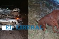 Una camioneta chocó contra un animal suelto en la ruta 89: se registraron daños materiales
