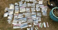 DEA seizes hundreds of pounds of drugs in Seattle, makes 12+ arrests in cartel connection