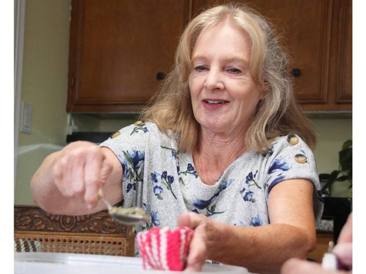 'Catnippers' raising money for Sarnia humane society