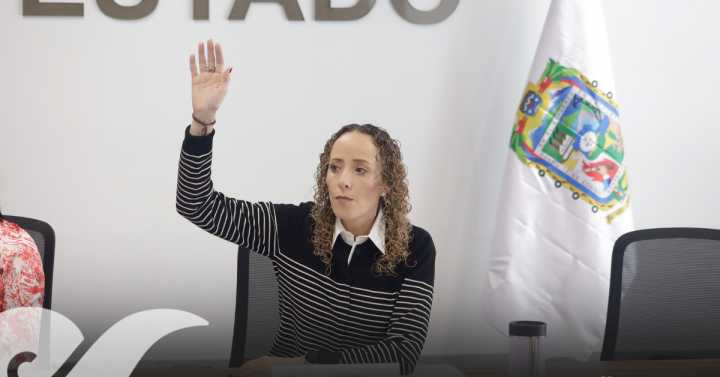 PAN respalda a la CNDH por la acción de inconstitucionalidad contra Ley Ciberasedio