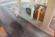 Robo de banco y secuestro en St Matthews