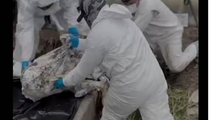 Suman 32 cuerpos hallados en una finca de Guanajuato