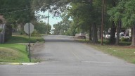 family of North Little Rock woman seeks justice after dog attack