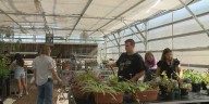 Flowing Wells teacher reduces absences through hands