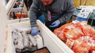 Habló la mujer embarazada que estuvo internada después de comer milanesas con papel higiénico: "Me retorcía de dolor"