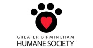 Dog adoptions suspended at Greater Birmingham Humane Society due to distemper exposure