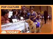 ‘Air Bud’ Movie Launches Nationwide Search for Next Star